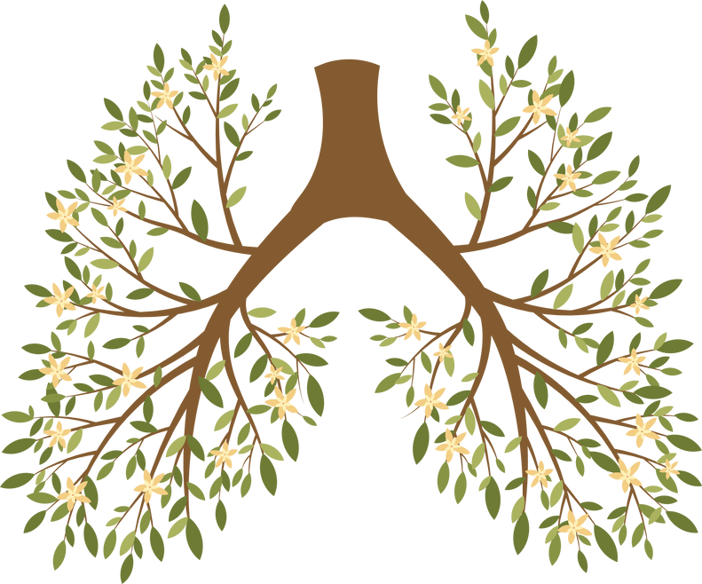 uman lungs. Respiratory system. Healthy lungs. Logo.